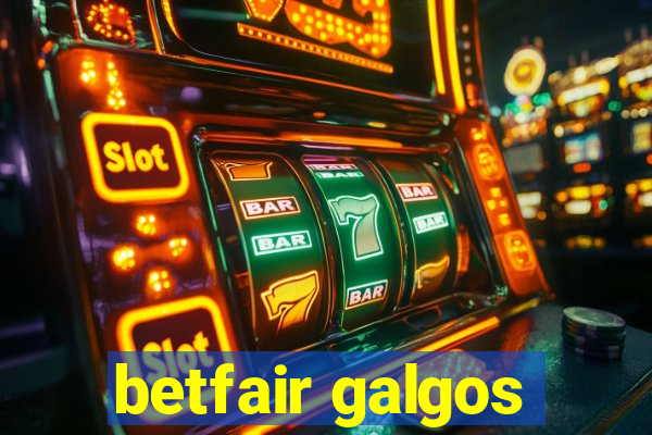 betfair galgos